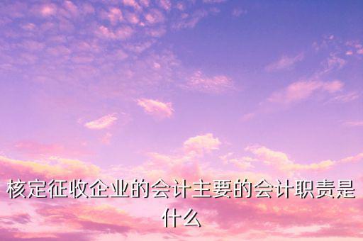 核定征收企業(yè)的會計主要的會計職責(zé)是什么