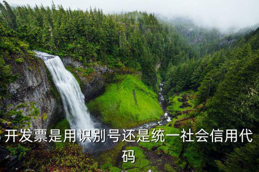 發(fā)票統(tǒng)一社會信用代碼是什么意思，開發(fā)票是用識別號還是統(tǒng)一社會信用代碼