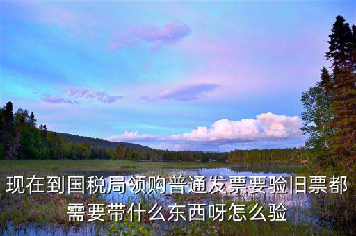 現(xiàn)在到國稅局領購普通發(fā)票要驗舊票都需要帶什么東西呀怎么驗