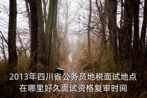 2016年四川地稅資格復(fù)審什么時(shí)候，大概什么時(shí)候資格復(fù)審啊