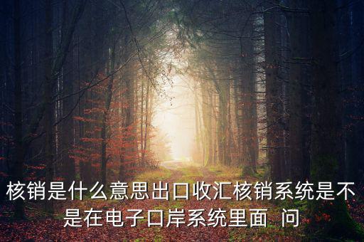 核銷是什么意思出口收匯核銷系統(tǒng)是不是在電子口岸系統(tǒng)里面  問(wèn)