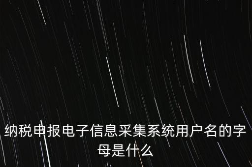 江蘇國稅電子稅務局登錄用戶名是什么意思，江蘇國稅網上辦稅服務廳的用戶名是什么