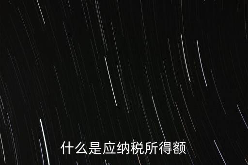 什么是年應(yīng)納稅所得額，什么是應(yīng)納稅所得額