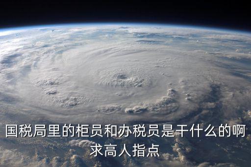 什么叫辦稅員，國稅局里的柜員和辦稅員是干什么的啊求高人指點