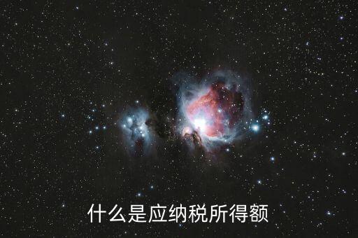 什么是應納稅所得額