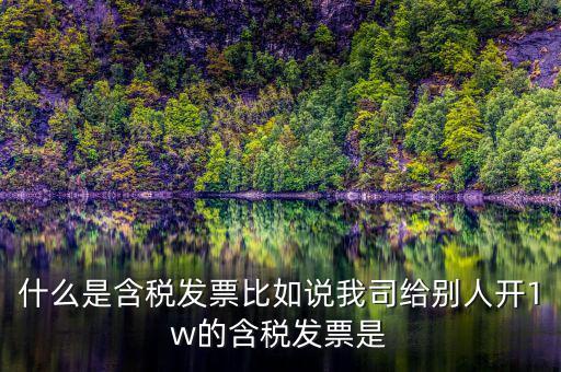 什么行業(yè)一般人發(fā)票含稅，什么類納稅人可以開增值稅專用發(fā)票