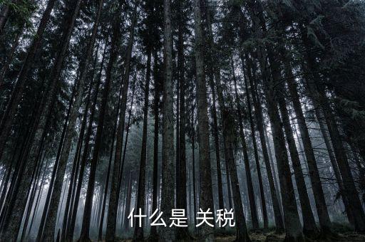 什么是國境關(guān)稅，關(guān)稅是什么