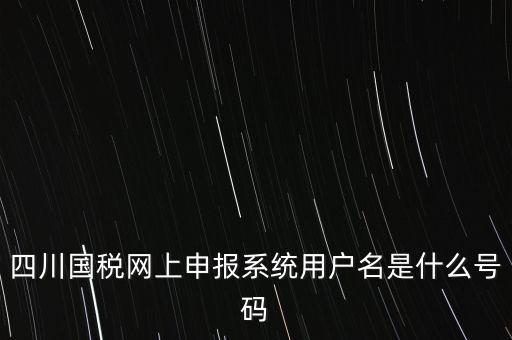 四川省地方稅務(wù)局登錄賬號(hào)是什么，在網(wǎng)上報(bào)稅登陸時(shí)用戶名是什么
