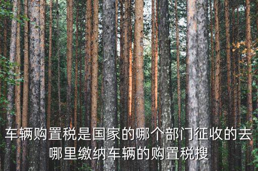 車(chē)購(gòu)稅局屬于什么，車(chē)輛購(gòu)置稅是國(guó)家的哪個(gè)部門(mén)征收的去哪里繳納車(chē)輛的購(gòu)置稅搜