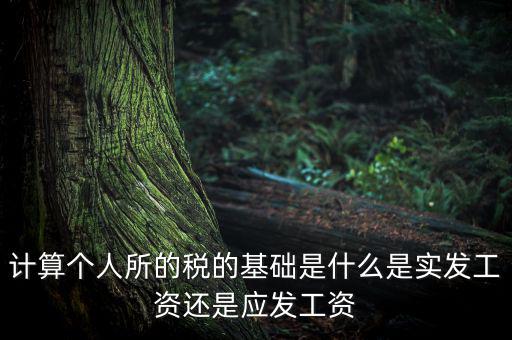 稅金的計算基礎是什么，計稅基礎是什么意思