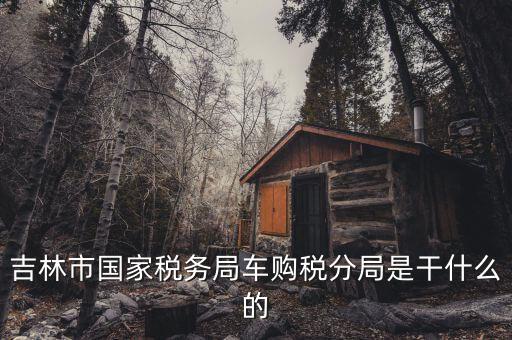 車購稅局主要干什么，新車去地稅局干什么
