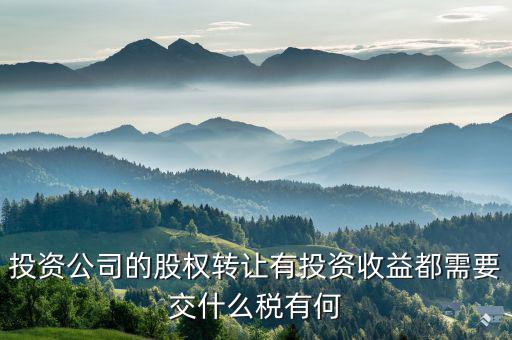 投資公司都要納什么稅，外商投資企業(yè)以設(shè)備投資需要交什么稅