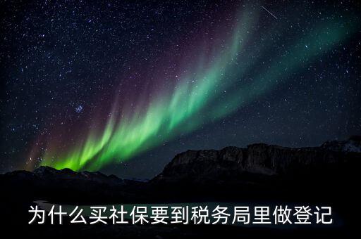 個(gè)體戶(hù)買(mǎi)社保要到地稅局做什么，個(gè)體戶(hù)到地稅交社保要提供什么證件