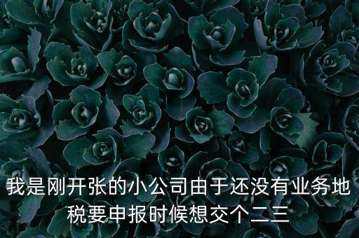 業(yè)務(wù)地稅是什么意思，利潤(rùn)表里主營(yíng)業(yè)務(wù)稅金及附加是國(guó)稅還是地稅征收呢親們幫忙解釋