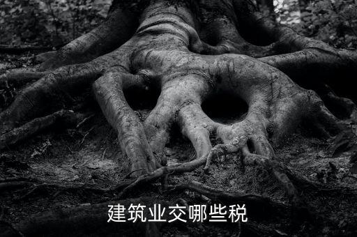 建筑設(shè)計(jì)交什么稅，建筑設(shè)計(jì)企業(yè)所得稅應(yīng)該交什么稅呀怎么抵扣