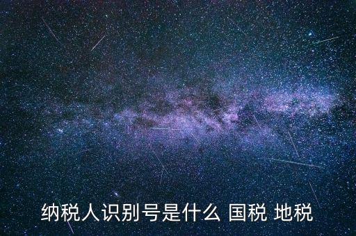 單位納稅識別號是什么，納稅人識別號是什么有多少位