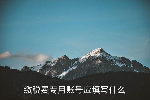 繳稅賬戶(hù)填什么，繳稅費(fèi)專(zhuān)用賬號(hào)應(yīng)填寫(xiě)什么