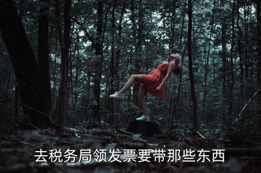 國稅領(lǐng)取發(fā)票需要帶什么，去國稅局領(lǐng)發(fā)票要帶什么