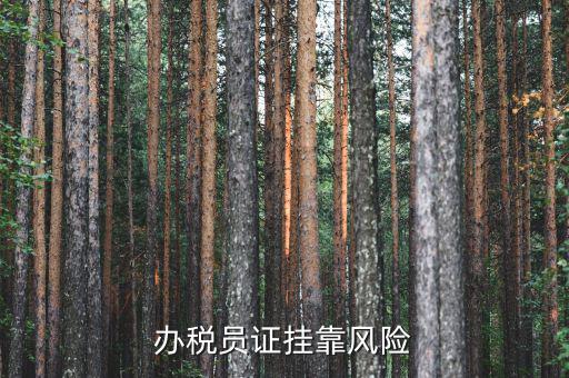 實名辦稅員有什么風(fēng)險，里面有個辦稅人要填我的名字會不會付法律責(zé)任有什么風(fēng)險沒
