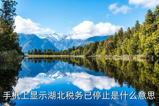 國稅業(yè)務(wù)停用什么意思，手機(jī)上顯示湖北稅務(wù)已停止是什么意思