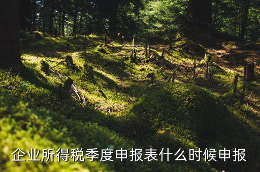 季度稅是在什么時(shí)候報(bào)，年度季度企業(yè)所得稅申報(bào)時(shí)間