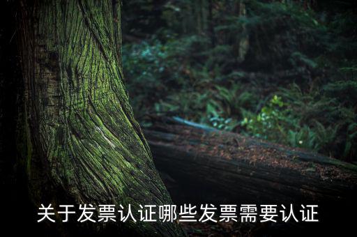 發(fā)票通過什么認證嗎，關(guān)于發(fā)票認證哪些發(fā)票需要認證