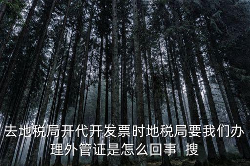 為什么要開電子外管證，像您咨詢一下關于外管證的事宜我前一陣開了外管證您說是避免