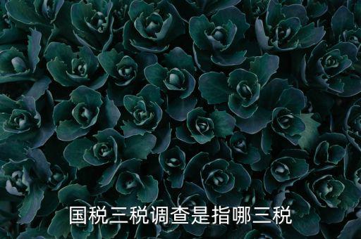 全國稅收調(diào)查是什么，全國稅收調(diào)查表中審核公式IFXXBB8 1 XXBB8 4