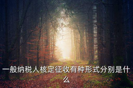 國稅函調(diào)是什么形式，國稅函調(diào)系統(tǒng)可以發(fā)起普通發(fā)票協(xié)查嗎
