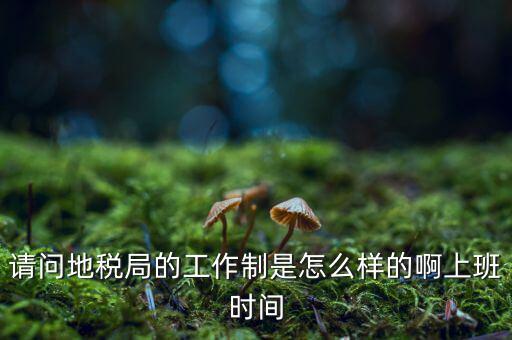 請(qǐng)問地稅局的工作制是怎么樣的啊上班時(shí)間