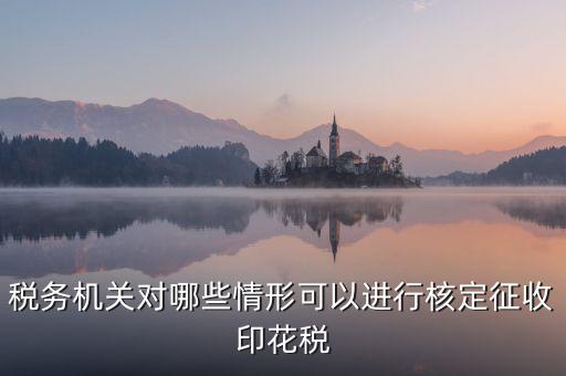 核定印花稅是什么意思，關(guān)于印花稅的核定比例