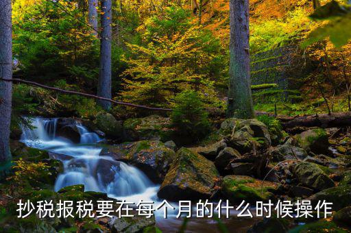 稅控盤(pán)什么時(shí)候抄報(bào)，抄稅報(bào)稅要在每個(gè)月的什么時(shí)候操作