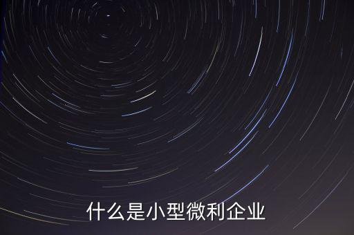 什么是小型微利，什么是小型微利企業(yè)收入從業(yè)人員其它條件