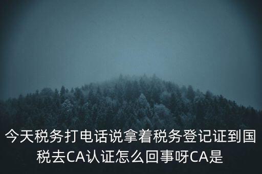 今天稅務打電話說拿著稅務登記證到國稅去CA認證怎么回事呀CA是