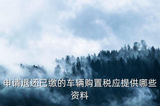 車輛退稅需要什么，現(xiàn)在購(gòu)車要退什么稅