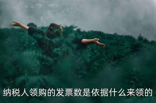 為什么領(lǐng)票人是納稅人，發(fā)票領(lǐng)購(gòu)簿上的章子與納稅人名稱不一樣是怎么回事