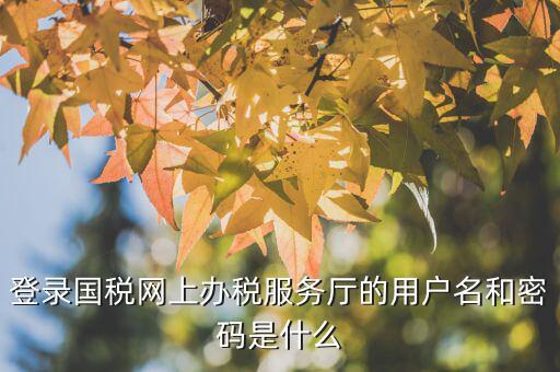 江蘇國稅電子稅務局登錄用戶名是什么，江蘇國稅網上辦稅服務廳的用戶名是什么