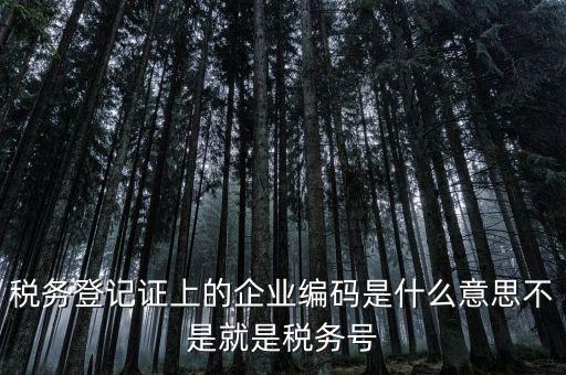 稅務(wù)編碼是什么意思，稅務(wù)登記證上的企業(yè)編碼是什么意思不是就是稅務(wù)號