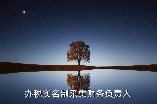 什么是實名辦稅，辦稅實名制采集財務(wù)負(fù)責(zé)人