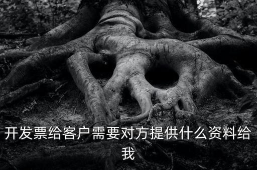 開票需要對方提供什么資料嗎，開發(fā)票給客戶需要對方提供什么資料給我