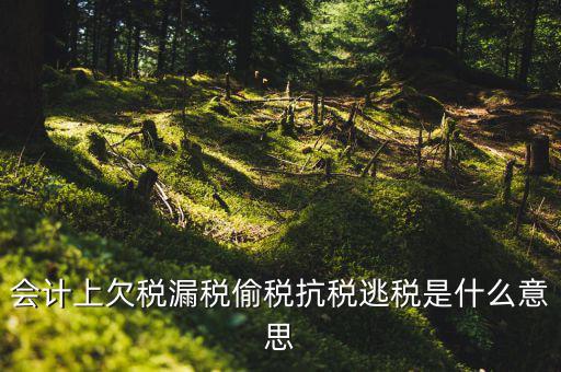 欠繳稅額是什么意思，增值稅申報表第26欄實收出口開具專用繳款書退稅額指的是什么