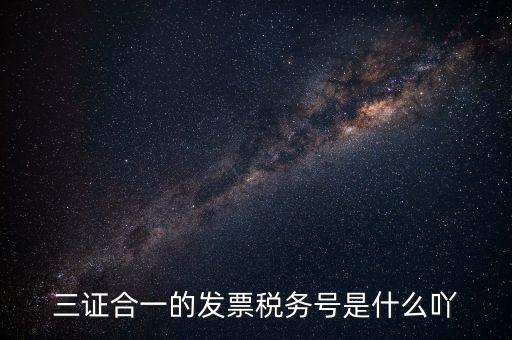 三證合一以后稅號是什么，三證合一的發(fā)票稅務(wù)號是什么吖