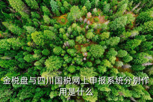 金稅盤的作用是什么，請(qǐng)問現(xiàn)在國(guó)稅局換的金稅盤主要的作用是什么