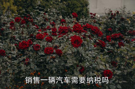 銷售汽車征收什么稅，銷售一輛汽車需要納稅嗎