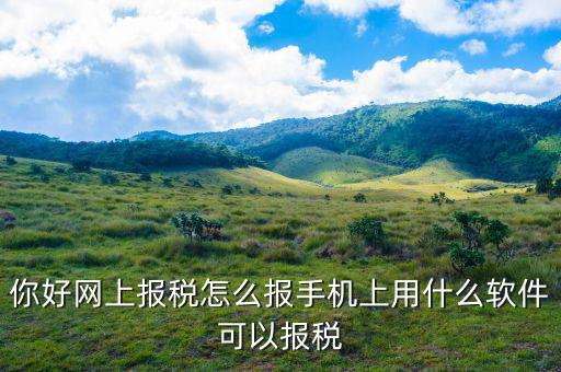 國稅保稅需要下載什么，你好網(wǎng)上報稅怎么報手機上用什么軟件可以報稅