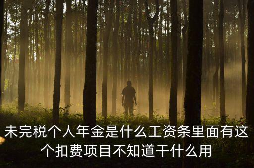 個稅年金是什么，未完稅個人年金是什么工資條里面有這個扣費項目不知道干什么用