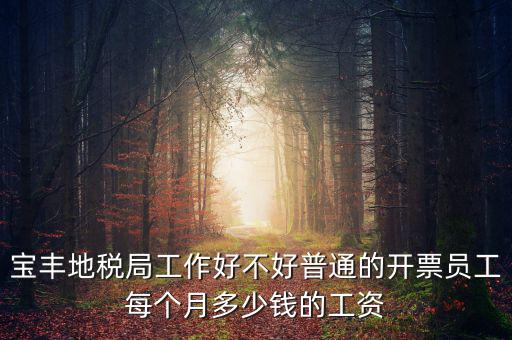 寶豐國稅局局長叫什么，寶豐三分局移動營業(yè)廳地址在哪里
