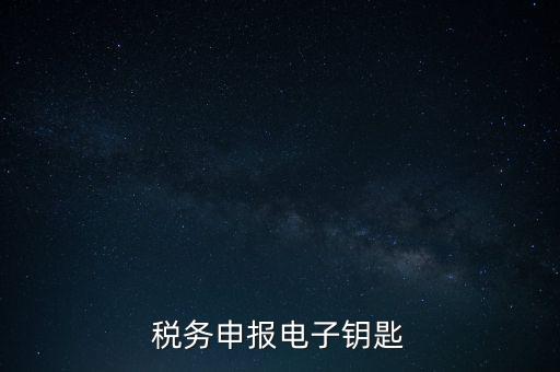 稅務(wù)申報(bào)電子鑰匙