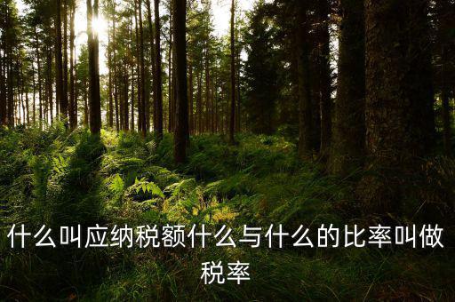 什么叫應用稅額，各種收入等于應用稅額除以什么