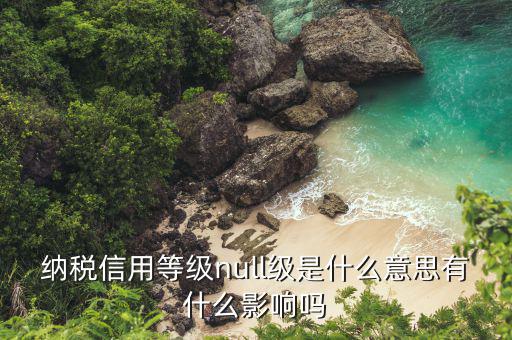 納稅信用等級是什么，納稅信用等級null級是什么意思有什么影響嗎